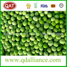 IQF Frozen Green Peas